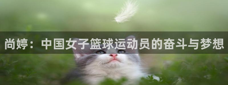 oety欧亿：尚婷：中国女子篮球运动员的奋斗与梦想
